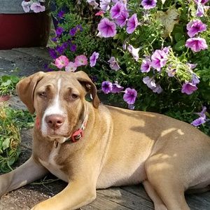 Meet your Posher, Eliana